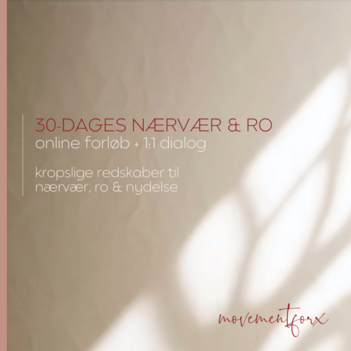 nærvær ro stressreducering